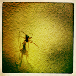 Hip 341837994.087687