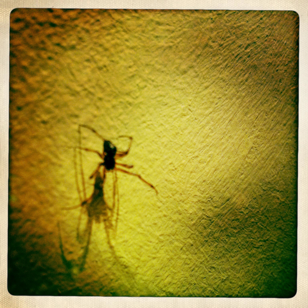 Hip 341837994.087687