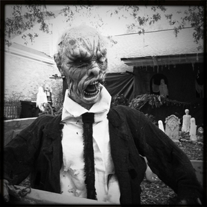 Hip 341620406.357039