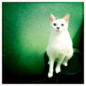 Hip 341853208.756301