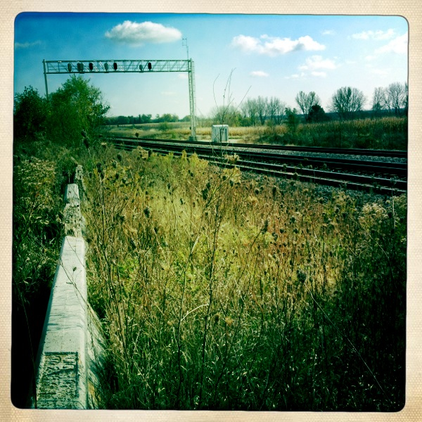 Hip 341772717.979907