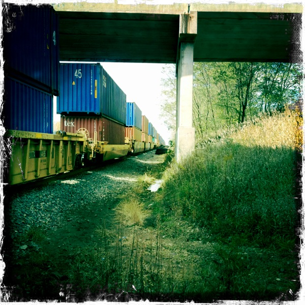 Hip 341772818.513615