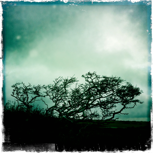 Hip 338658072.159650