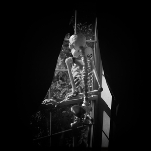 Hip 341767664.862379