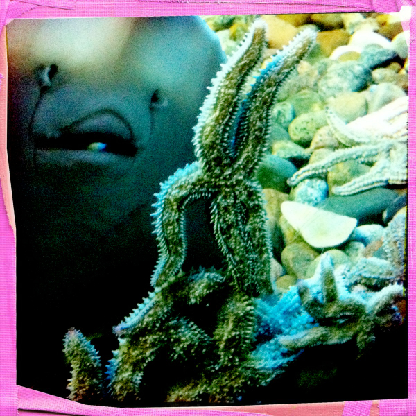 Hip 341665549.491436