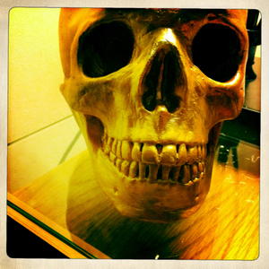 Hip 341787736.281922