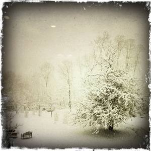 Hip 341613758.024494