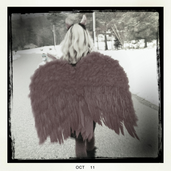 Hip 341790764.836531