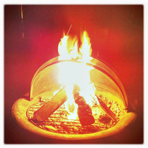 Hip 341021205.400578