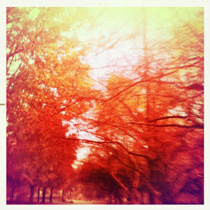 Hip 341841270.882481