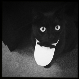 Hip 334968618.442285