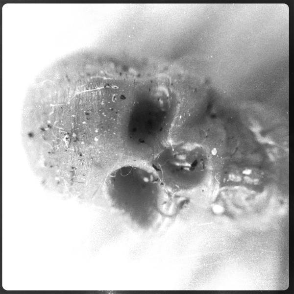 Hip 341870344.534173