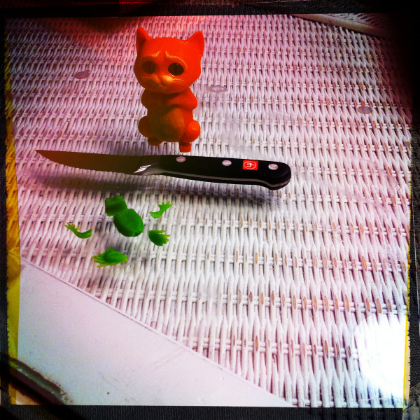 Hip 341872520.243083