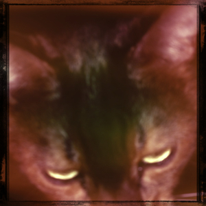 Hip 341872928.949125