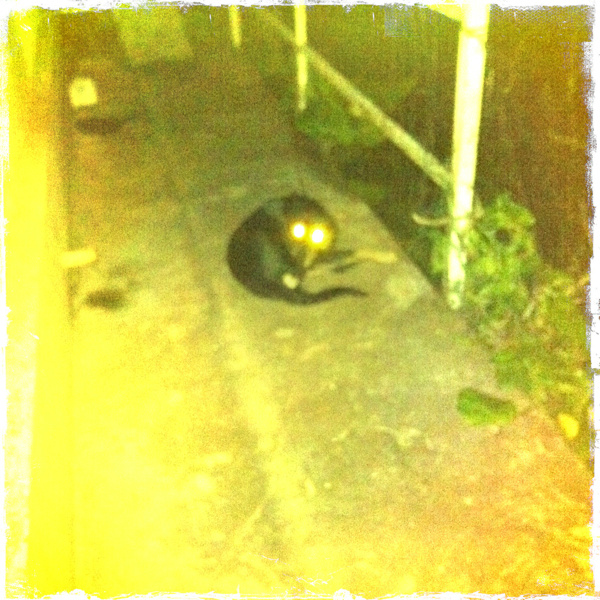 Hip 332447164.542521