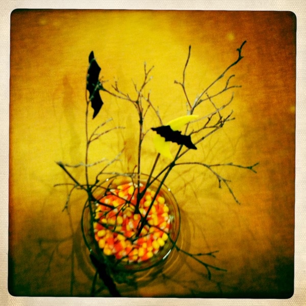 Hip 341877906.071287