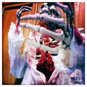 Hip 341711243.179692