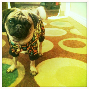 Hip 341882598.288288