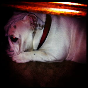 Hip 341889006.126992