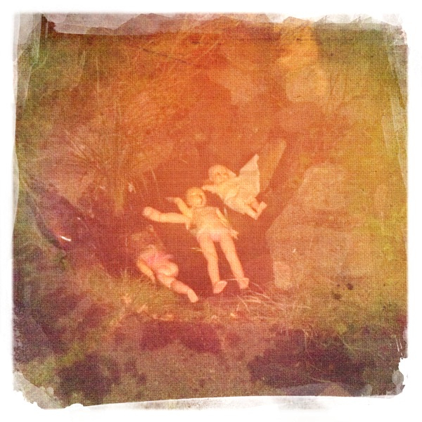 Hip 341656793.299180