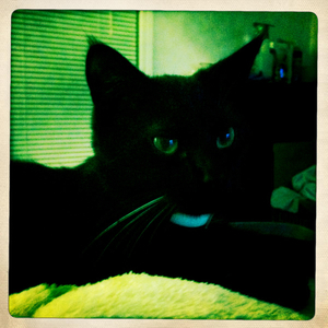 Hip 341890480.471531