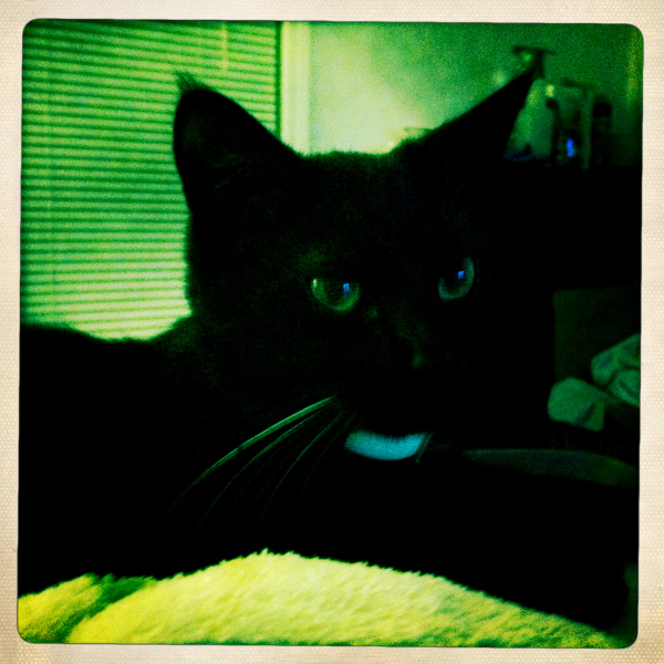 Hip 341890480.471531