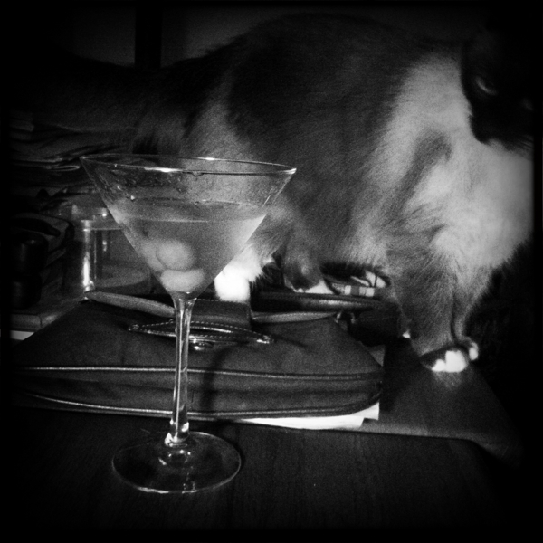 Hip 341891337.668192