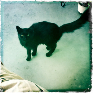 Hip 340233393.831701