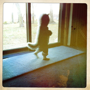 Hip 341790481.293211