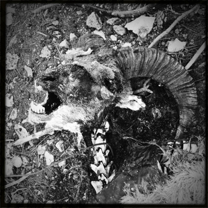 Hip 340707130.470871