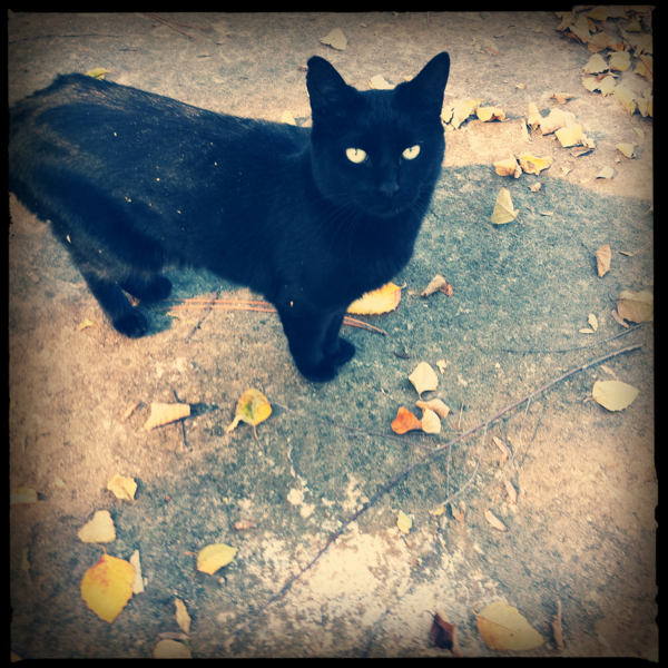 Hip 340489196.235529