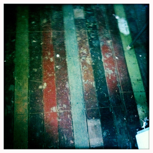 Hip 340309783.957645