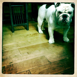 Hip 341904816.918019