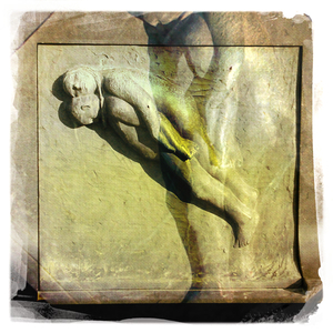 Hip 312810064.522440