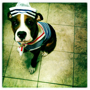 Hip 331324295.646807