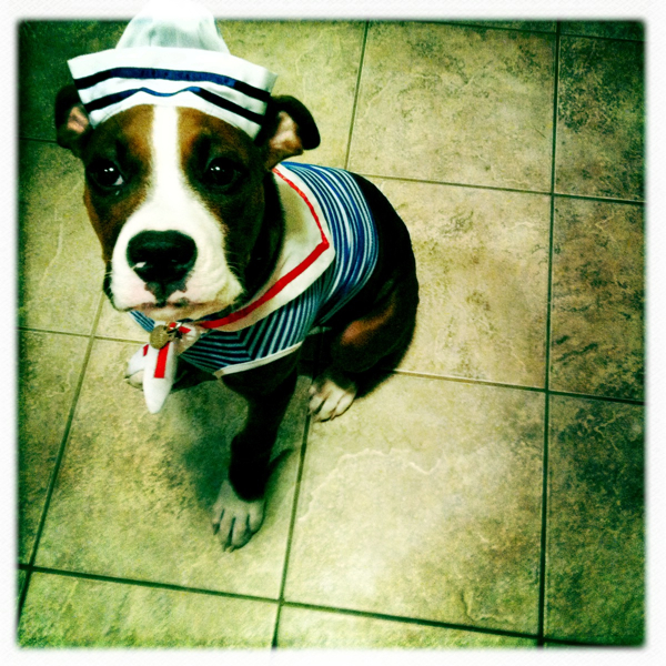 Hip 331324295.646807