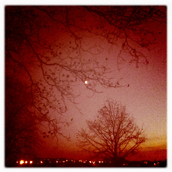 Hip 341860338.562345