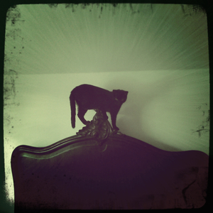 Hip 321116877.527676