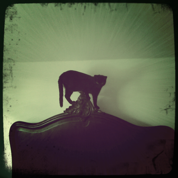 Hip 321116877.527676