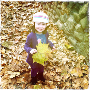 Hip 341682618.077335