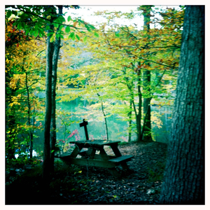 Hip 339979552.555287