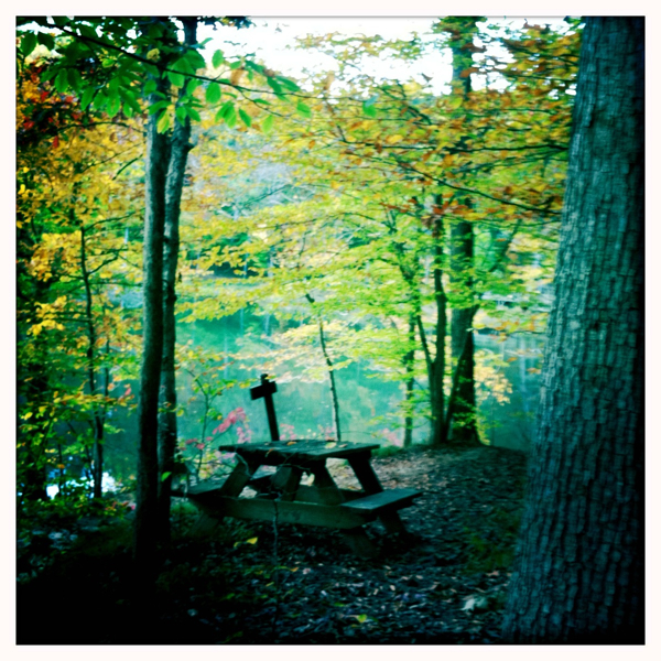 Hip 339979552.555287