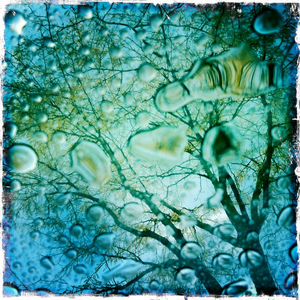 Hip 341917433.772663