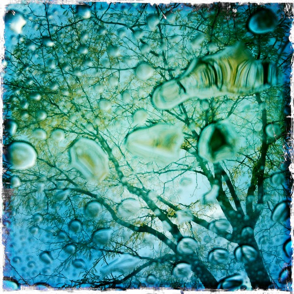 Hip 341917433.772663