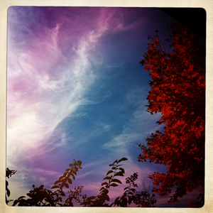 Hip 341695160.737750