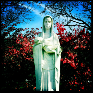 Hip 341944524.192702