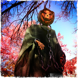 Hip 341864283.420027