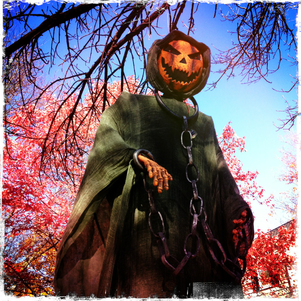 Hip 341864283.420027