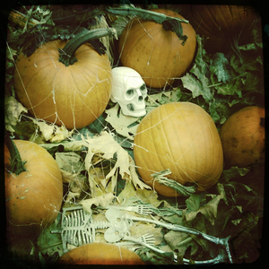 Hip 310068562.838096