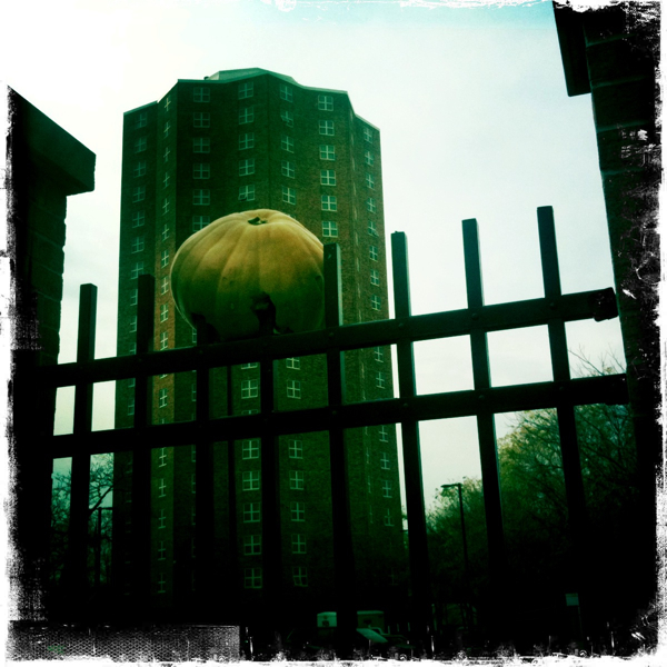 Hip 341948158.844556